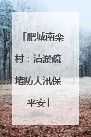 肥城南栾村：清淤疏堵防大汛保平安