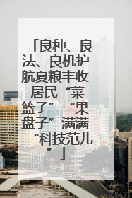 良种、良法、良机护航夏粮丰收 居民“菜篮子”“果盘子”满满“科技范儿”