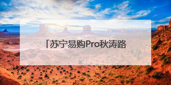 苏宁易购Pro秋涛路超级旗舰店启幕，打造杭州家电零售新地标，加速“大店攻略”全省布局