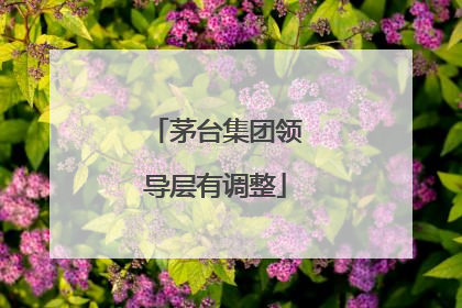 茅台集团领导层有调整