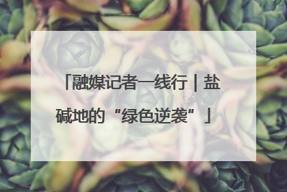 融媒记者一线行｜盐碱地的“绿色逆袭”