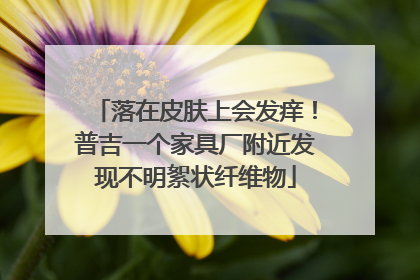 落在皮肤上会发痒！普吉一个家具厂附近发现不明絮状纤维物