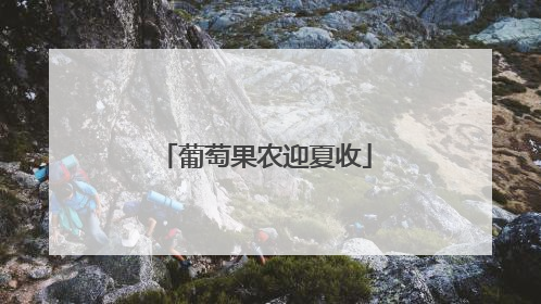 葡萄果农迎夏收
