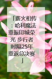 薪火相传：哈利魔法重振印城荣光 步行者时隔25年重返总决赛
