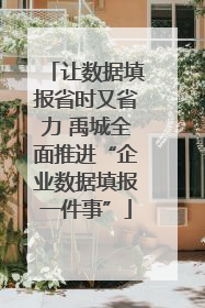 让数据填报省时又省力 禹城全面推进“企业数据填报一件事”