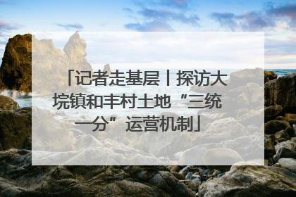 记者走基层丨探访大垸镇和丰村土地“三统一分”运营机制