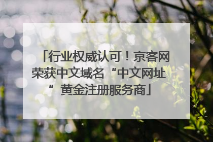 行业权威认可！京客网荣获中文域名“中文网址”黄金注册服务商