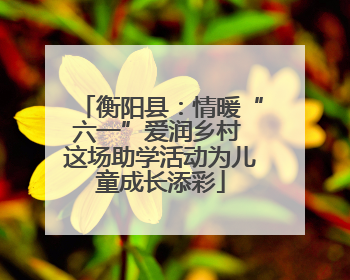 衡阳县：情暖“六一”爱润乡村 这场助学活动为儿童成长添彩