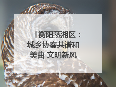 衡阳蒸湘区：城乡协奏共谱和美曲 文明新风劲拂蒸湘地