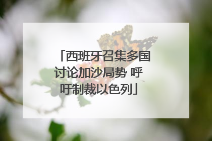 西班牙召集多国讨论加沙局势 呼吁制裁以色列