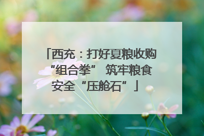 西充：打好夏粮收购“组合拳” 筑牢粮食安全“压舱石”