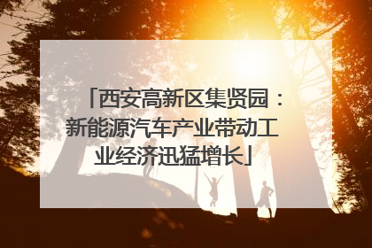 西安高新区集贤园：新能源汽车产业带动工业经济迅猛增长
