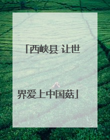 西峡县 让世界爱上中国菇