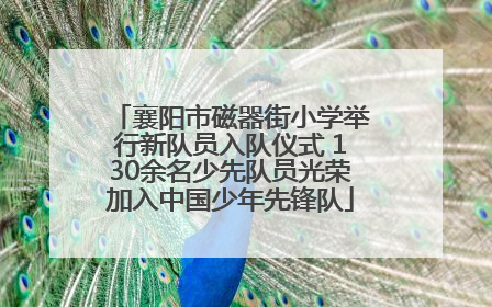 襄阳市磁器街小学举行新队员入队仪式 130余名少先队员光荣加入中国少年先锋队