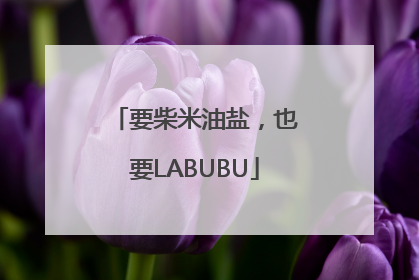 要柴米油盐，也要LABUBU