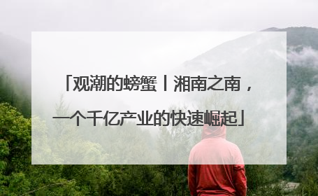 观潮的螃蟹丨湘南之南，一个千亿产业的快速崛起