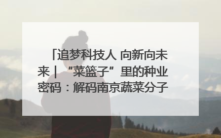追梦科技人 向新向未来｜“菜篮子”里的种业密码：解码南京蔬菜分子育种的创新之路