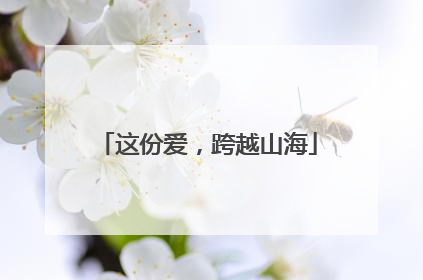 这份爱，跨越山海