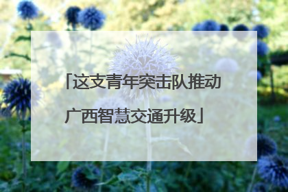 这支青年突击队推动广西智慧交通升级