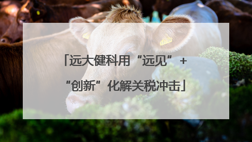 远大健科用“远见”+“创新”化解关税冲击