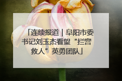 连续报道｜阜阳市委书记刘玉杰看望“拦窨救人”英勇团队