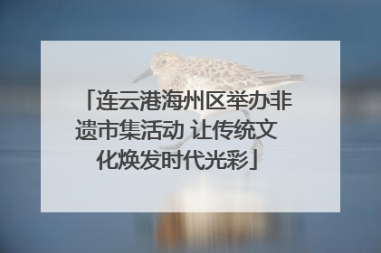 连云港海州区举办非遗市集活动 让传统文化焕发时代光彩