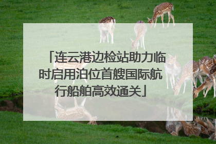 连云港边检站助力临时启用泊位首艘国际航行船舶高效通关