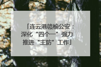 连云港赣榆公安：深化“四个一”强力推进“主防”工作