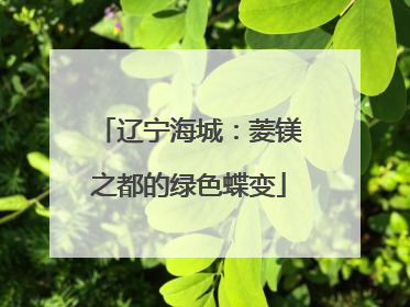 辽宁海城：菱镁之都的绿色蝶变