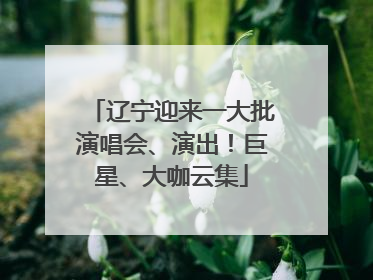 辽宁迎来一大批演唱会、演出！巨星、大咖云集