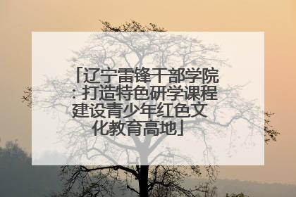 辽宁雷锋干部学院：打造特色研学课程 建设青少年红色文化教育高地