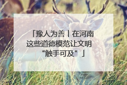 豫人为善丨在河南这些道德模范让文明“触手可及”