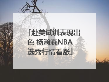 赴美试训表现出色 杨瀚森NBA选秀行情看涨