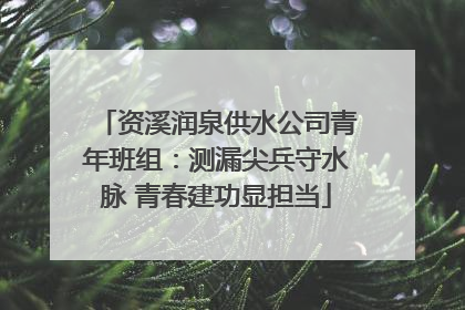 资溪润泉供水公司青年班组：测漏尖兵守水脉 青春建功显担当
