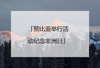 赞比亚举行活动纪念非洲日