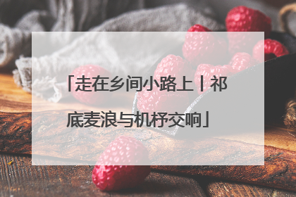 走在乡间小路上丨祁底麦浪与机杼交响
