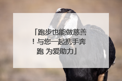 跑步也能做慈善！与您一起携手奔跑 为爱助力