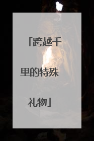 跨越千里的特殊礼物