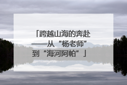 跨越山海的奔赴——从“杨老师”到“海河阿帕”