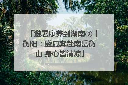 避暑康养到湖南②丨衡阳：盛夏奔赴南岳衡山 身心皆清凉