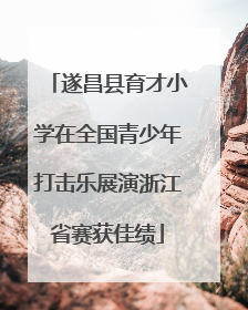 遂昌县育才小学在全国青少年打击乐展演浙江省赛获佳绩