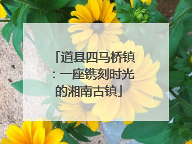 道县四马桥镇：一座镌刻时光的湘南古镇