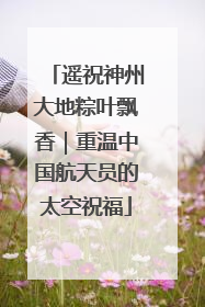 遥祝神州大地粽叶飘香｜重温中国航天员的太空祝福