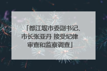 都江堰市委副书记、市长张亚丹 接受纪律审查和监察调查