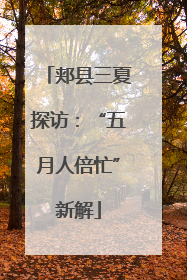 郏县三夏探访：“五月人倍忙”新解
