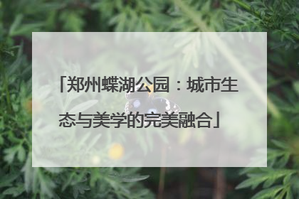 郑州蝶湖公园：城市生态与美学的完美融合