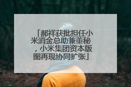 郝祥获批担任小米消金总助兼董秘，小米集团资本版图再现协同扩张