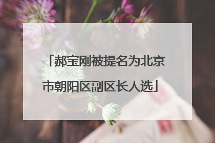 郝宝刚被提名为北京市朝阳区副区长人选