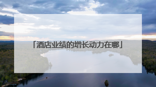 酒店业绩的增长动力在哪