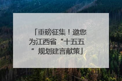 重磅征集！邀您为江西省“十五五”规划建言献策
